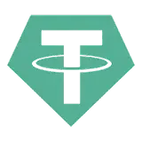 USDT deposit at Norse Mania Casino